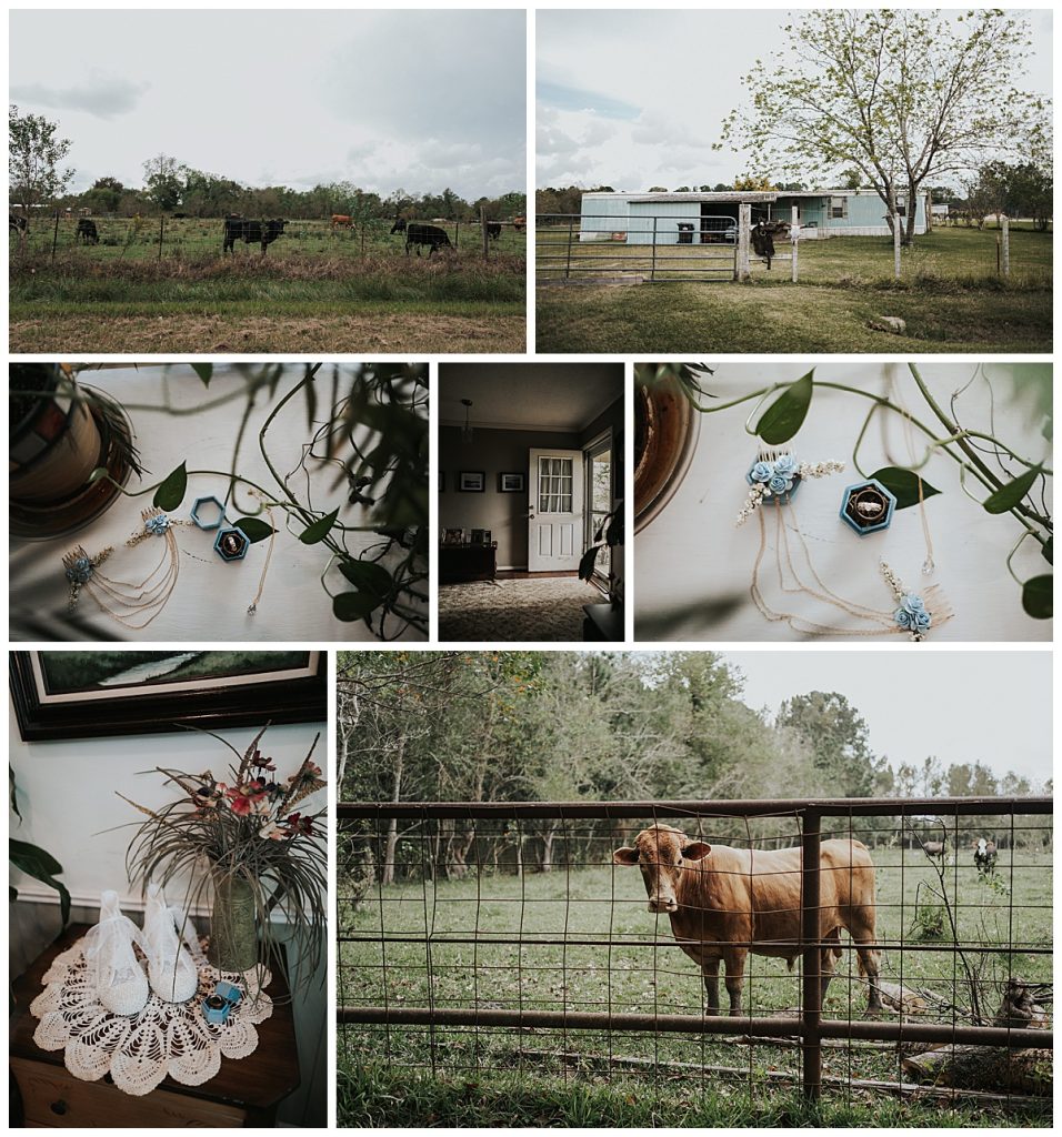 Details from Outdoor texas wedding